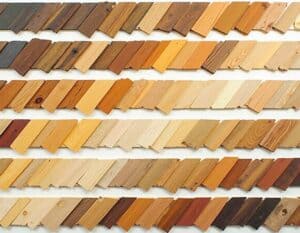 Mehr über den Artikel erfahren Welches Holz hat welche Farbe?